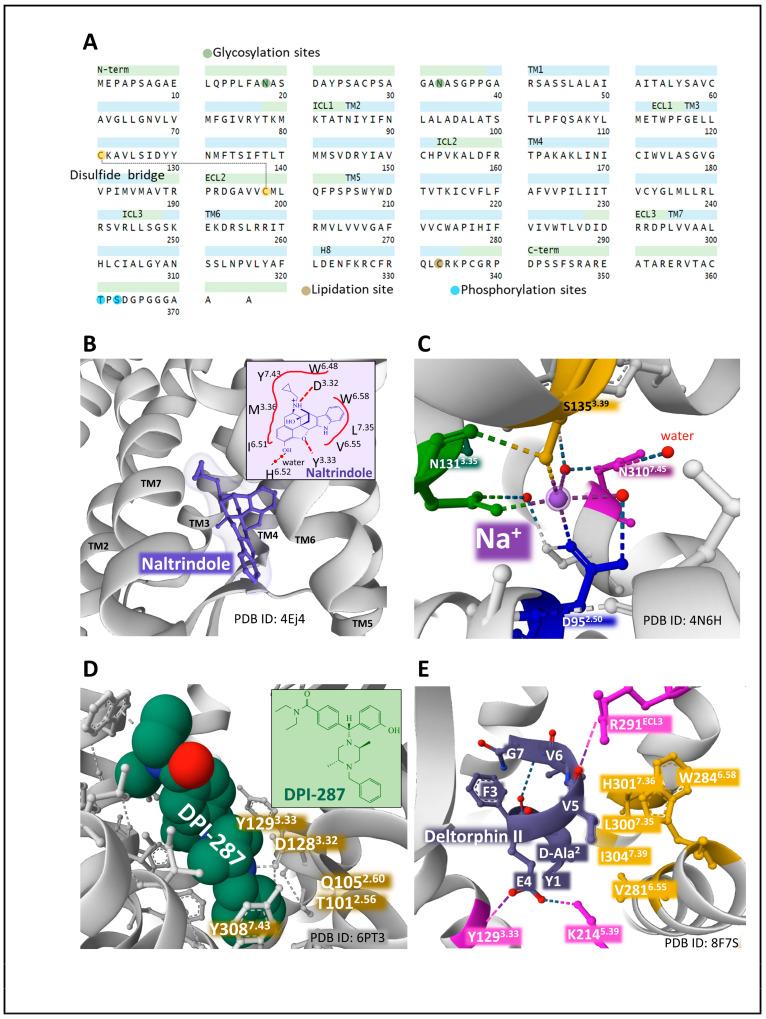 https://cdn.ncbi.nlm.nih.gov/pmc/blobs/dd5a/10377280/f1ddbd1e62e2/biomedicines-11-01993-g005.jpg