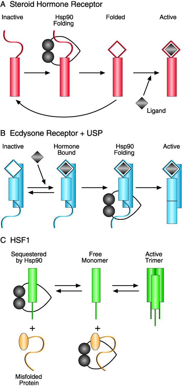 https://cdn.ncbi.nlm.nih.gov/pmc/blobs/dd5c/2150759/ae5f7c0fcd83/0104079f3.jpg