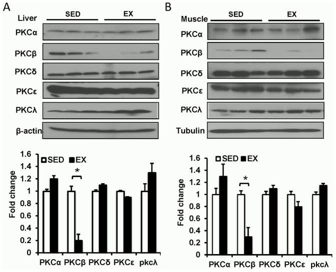 https://cdn.ncbi.nlm.nih.gov/pmc/blobs/dd5c/3857188/f92abe23515b/pone.0081364.g001.jpg