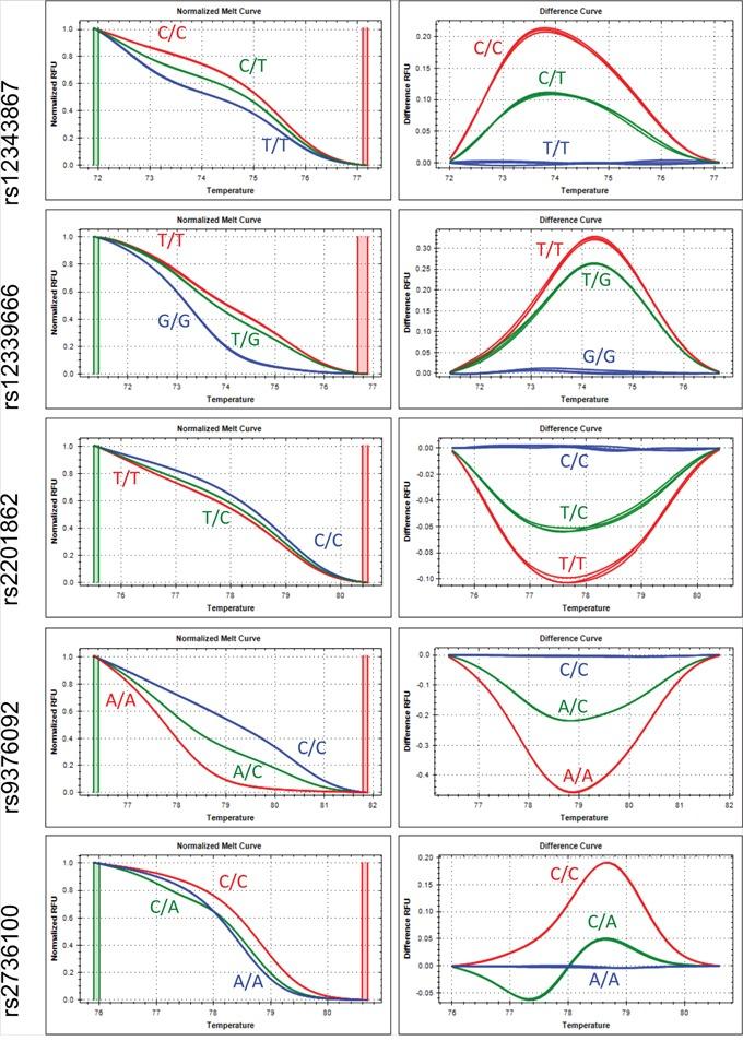 https://cdn.ncbi.nlm.nih.gov/pmc/blobs/dd5c/5652698/25c81ce27941/oncotarget-08-76204-g001.jpg