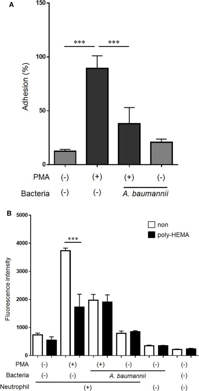 https://cdn.ncbi.nlm.nih.gov/pmc/blobs/dd5c/5808340/7e67d07749e0/fimmu-09-00178-g005.jpg