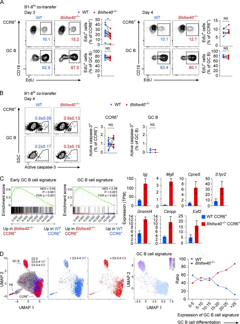 https://cdn.ncbi.nlm.nih.gov/pmc/blobs/dd61/8689665/45915ca01f2b/JEM_20211406_Fig3.jpg