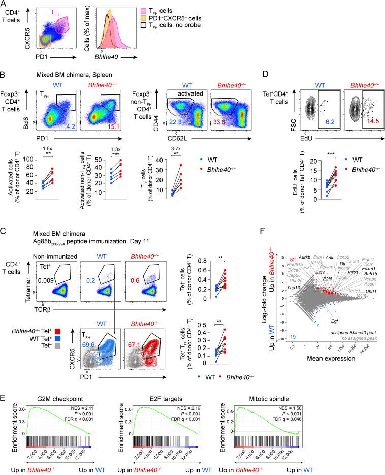 https://cdn.ncbi.nlm.nih.gov/pmc/blobs/dd61/8689665/477b5a9fcdfb/JEM_20211406_Fig5.jpg