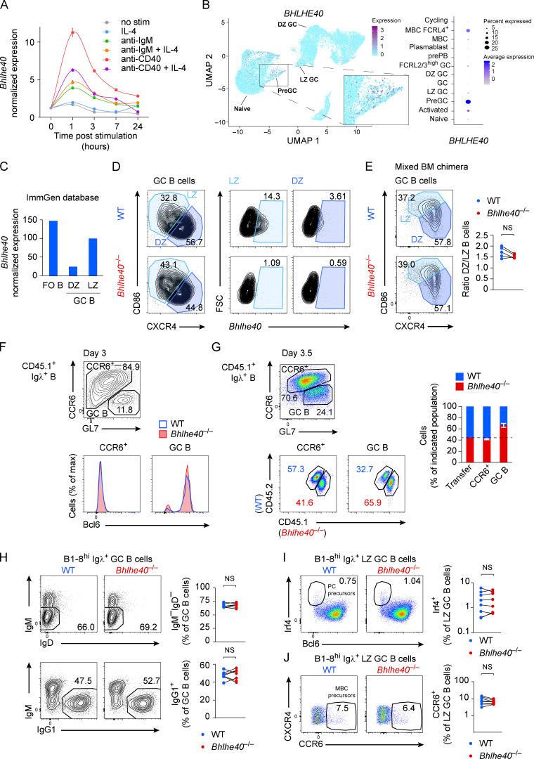 https://cdn.ncbi.nlm.nih.gov/pmc/blobs/dd61/8689665/b42be7a0bb6b/JEM_20211406_FigS2.jpg