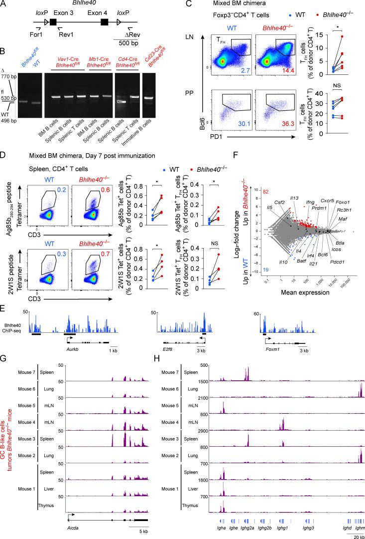 https://cdn.ncbi.nlm.nih.gov/pmc/blobs/dd61/8689665/ceb3d92b4103/JEM_20211406_FigS5.jpg