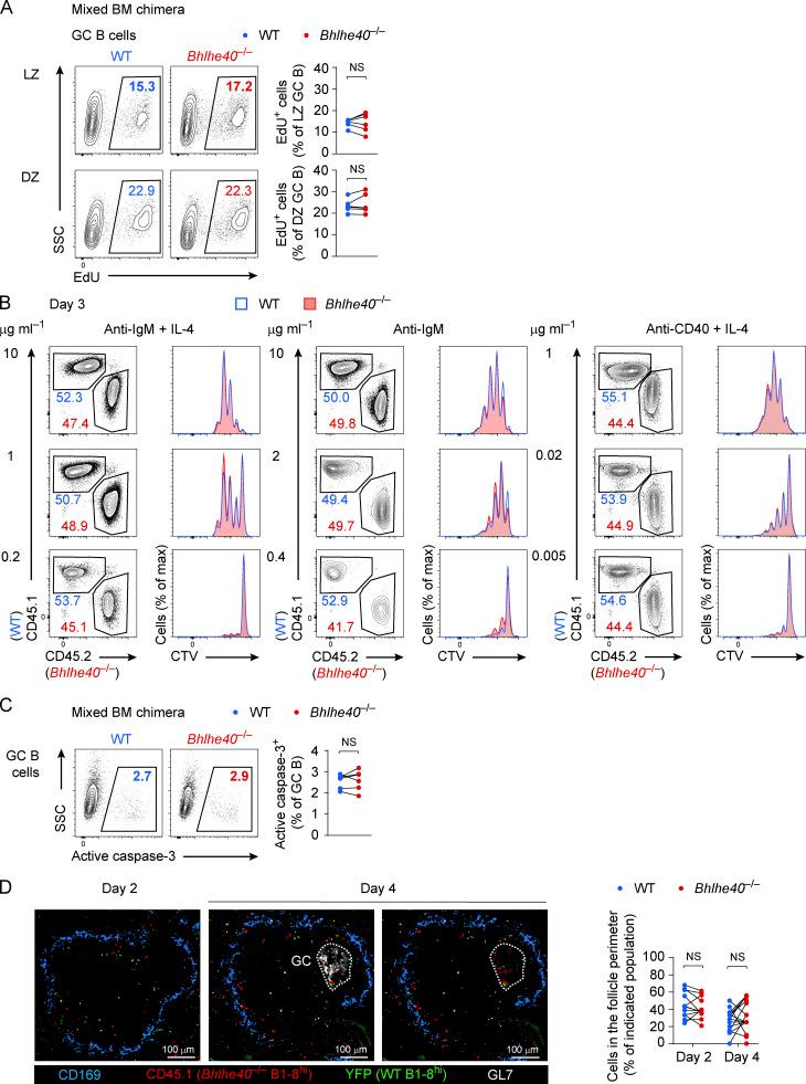 https://cdn.ncbi.nlm.nih.gov/pmc/blobs/dd61/8689665/dd9598bbe6f8/JEM_20211406_FigS3.jpg