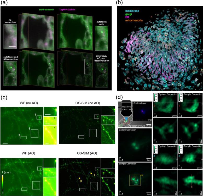 https://cdn.ncbi.nlm.nih.gov/pmc/blobs/dd61/9587606/7981ecd5776e/40824_2022_303_Fig8_HTML.jpg
