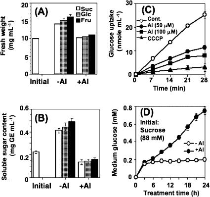 https://cdn.ncbi.nlm.nih.gov/pmc/blobs/dd62/2852655/c483a0c15b80/jexboterq027f07_lw.jpg