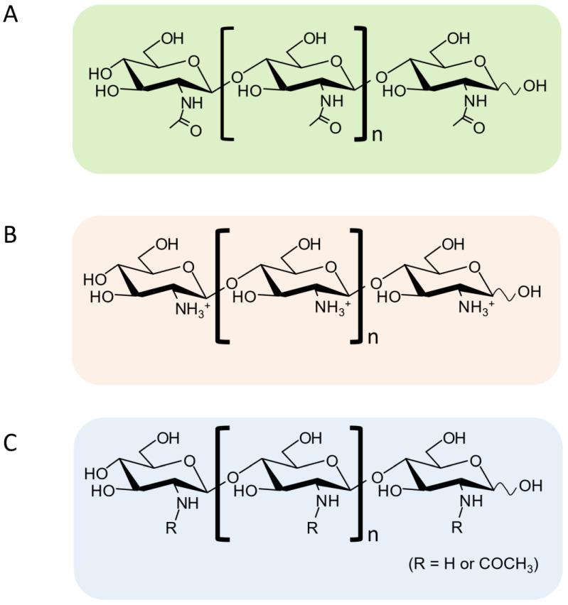 https://cdn.ncbi.nlm.nih.gov/pmc/blobs/dd64/10536575/0bad5a5c0647/molecules-28-06591-g001.jpg