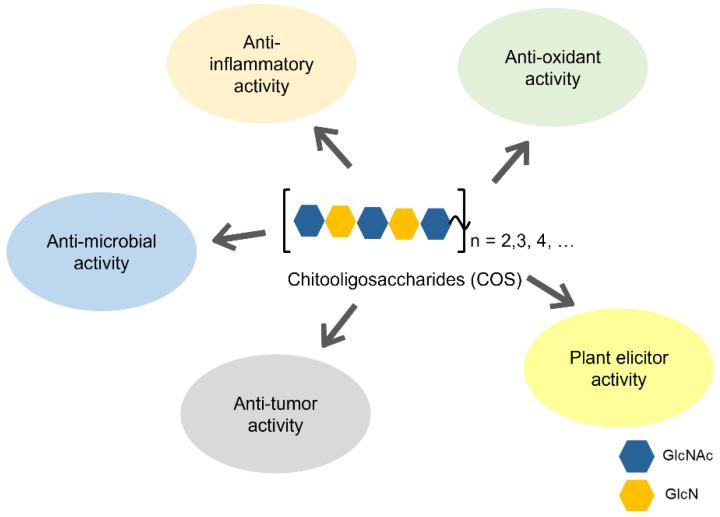 https://cdn.ncbi.nlm.nih.gov/pmc/blobs/dd64/10536575/9353f8a93bb5/molecules-28-06591-g002.jpg