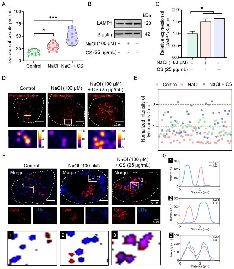 https://cdn.ncbi.nlm.nih.gov/pmc/blobs/dd64/12194273/0e2b977a7f86/marinedrugs-23-00228-g004.jpg
