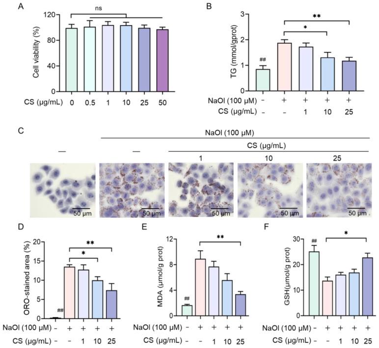 https://cdn.ncbi.nlm.nih.gov/pmc/blobs/dd64/12194273/78aef4dd7250/marinedrugs-23-00228-g002.jpg