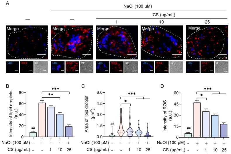 https://cdn.ncbi.nlm.nih.gov/pmc/blobs/dd64/12194273/95b2b9b90a01/marinedrugs-23-00228-g003.jpg