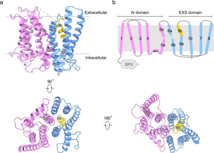 https://cdn.ncbi.nlm.nih.gov/pmc/blobs/dd65/11696373/87e01281c66e/41467_2024_55471_Fig1_HTML.jpg