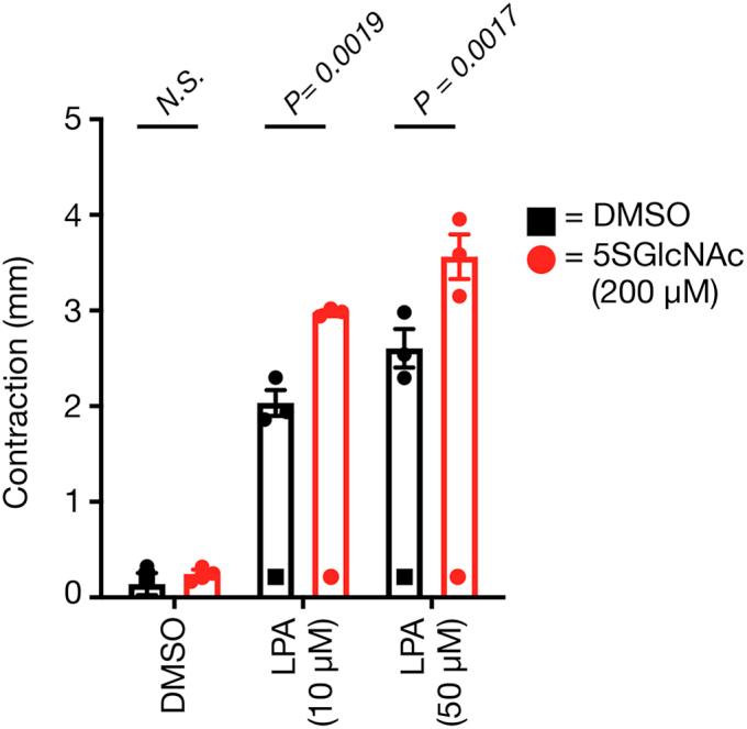 https://cdn.ncbi.nlm.nih.gov/pmc/blobs/dd65/8191289/23de3ad47bd6/gr6.jpg