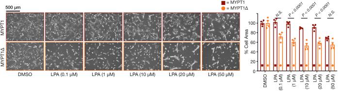 https://cdn.ncbi.nlm.nih.gov/pmc/blobs/dd65/8191289/88ed469b0c79/gr4.jpg