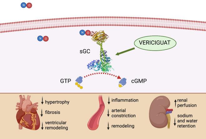 https://cdn.ncbi.nlm.nih.gov/pmc/blobs/dd68/11233322/d14bcce1b3b4/40256_2024_652_Fig1_HTML.jpg