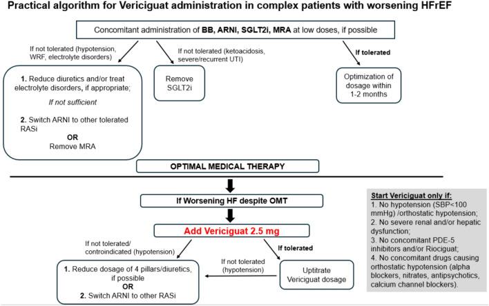 https://cdn.ncbi.nlm.nih.gov/pmc/blobs/dd68/11233322/f19b9322b102/40256_2024_652_Fig3_HTML.jpg
