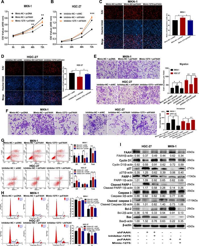 https://cdn.ncbi.nlm.nih.gov/pmc/blobs/dd68/9879949/0d33762b7fbf/41419_2023_5584_Fig5_HTML.jpg