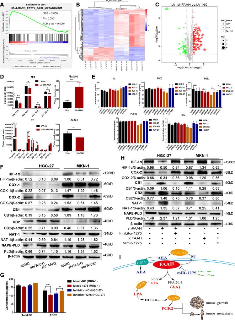 https://cdn.ncbi.nlm.nih.gov/pmc/blobs/dd68/9879949/9f5b85c9ca63/41419_2023_5584_Fig6_HTML.jpg