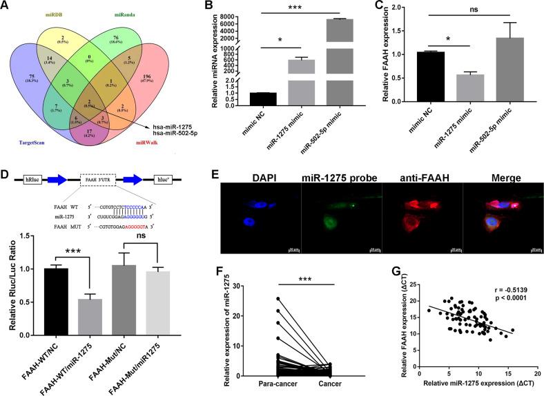 https://cdn.ncbi.nlm.nih.gov/pmc/blobs/dd68/9879949/e2ee78ff2641/41419_2023_5584_Fig4_HTML.jpg