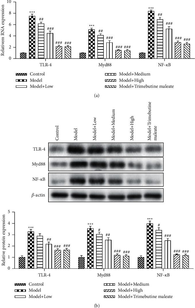 https://cdn.ncbi.nlm.nih.gov/pmc/blobs/dd69/8594983/192c8bb223db/ECAM2021-5792130.003.jpg
