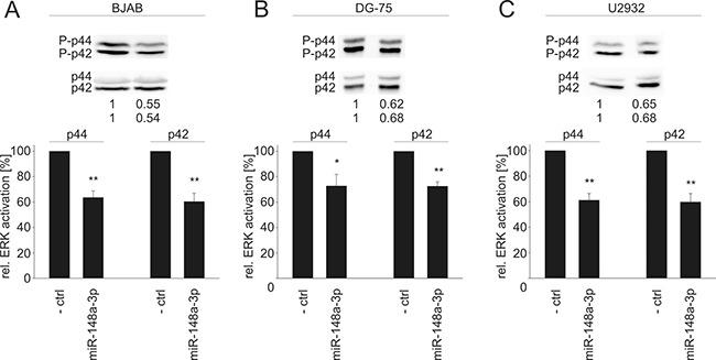 https://cdn.ncbi.nlm.nih.gov/pmc/blobs/dd6a/5593572/124b47000b1c/oncotarget-08-56417-g006.jpg
