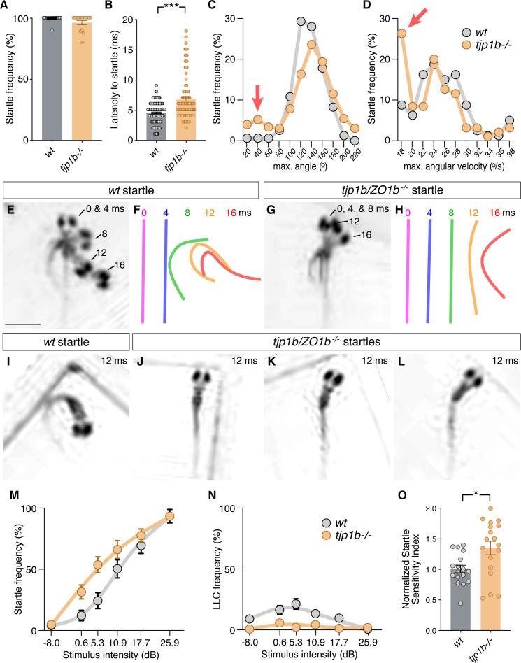 https://cdn.ncbi.nlm.nih.gov/pmc/blobs/dd6c/8081524/533f69fc786f/elife-66898-fig5.jpg