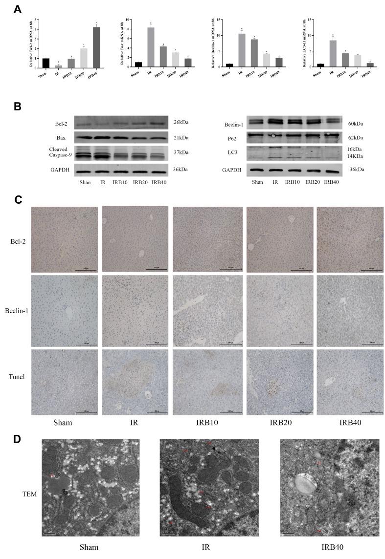 https://cdn.ncbi.nlm.nih.gov/pmc/blobs/dd6f/6970010/008994baef69/DDDT-14-129-g0005.jpg