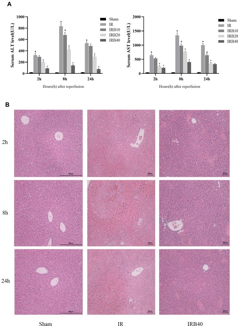 https://cdn.ncbi.nlm.nih.gov/pmc/blobs/dd6f/6970010/308ca90612e6/DDDT-14-129-g0002.jpg