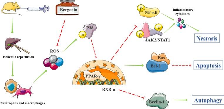 https://cdn.ncbi.nlm.nih.gov/pmc/blobs/dd6f/6970010/abcb645f1d99/DDDT-14-129-g0007.jpg