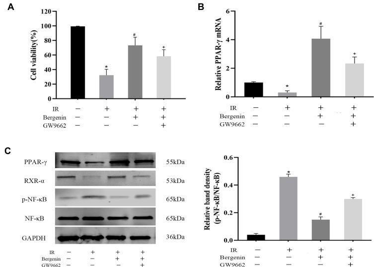 https://cdn.ncbi.nlm.nih.gov/pmc/blobs/dd6f/6970010/b6ed9992fb21/DDDT-14-129-g0006.jpg