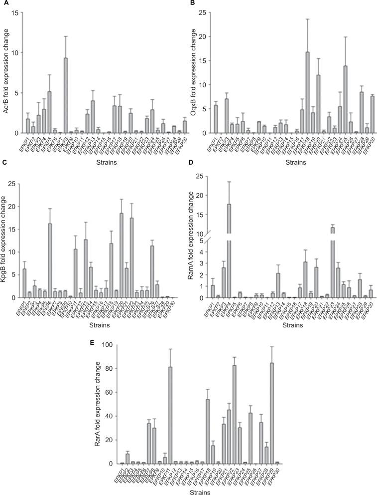 https://cdn.ncbi.nlm.nih.gov/pmc/blobs/dd72/6304254/1d633cf35311/idr-12-033Fig1.jpg
