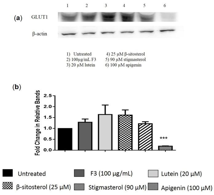 https://cdn.ncbi.nlm.nih.gov/pmc/blobs/dd74/9963282/0a9478e1327d/pharmaceuticals-16-00153-g002.jpg