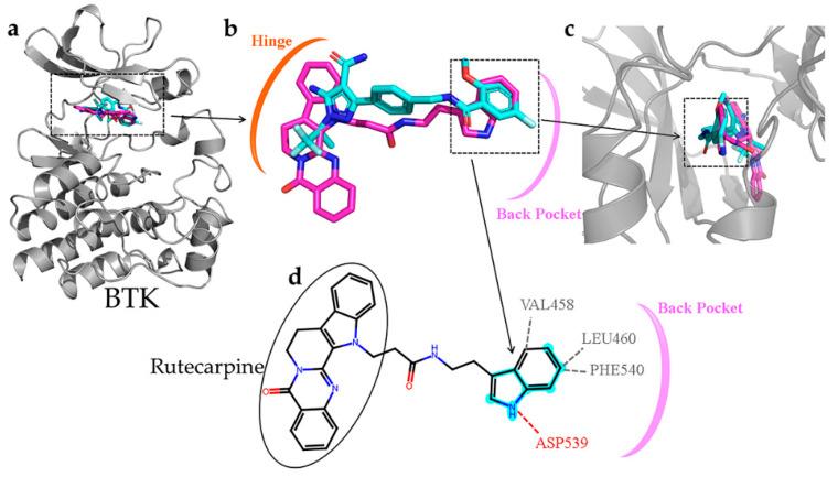 https://cdn.ncbi.nlm.nih.gov/pmc/blobs/dd75/10608827/0e0532735da9/molecules-28-07140-g010.jpg