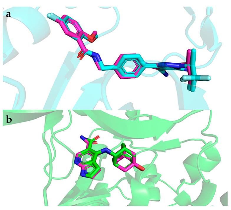 https://cdn.ncbi.nlm.nih.gov/pmc/blobs/dd75/10608827/35060312eb10/molecules-28-07140-g0A2.jpg