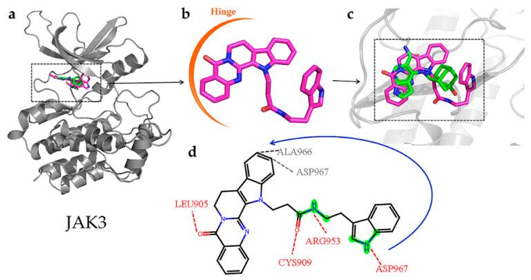 https://cdn.ncbi.nlm.nih.gov/pmc/blobs/dd75/10608827/c74ddd06782f/molecules-28-07140-g011.jpg