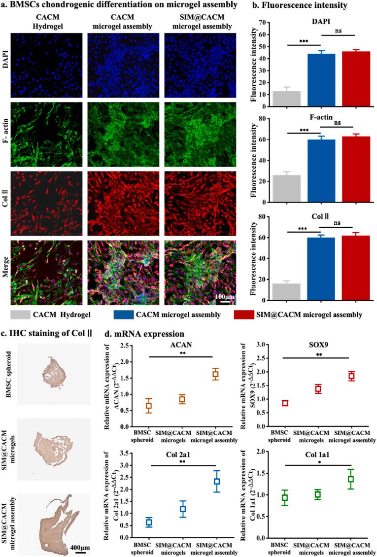 https://cdn.ncbi.nlm.nih.gov/pmc/blobs/dd75/11533518/3241846b874d/gr4.jpg