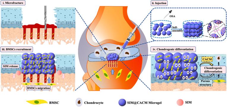 https://cdn.ncbi.nlm.nih.gov/pmc/blobs/dd75/11533518/82d3685c17b1/sc1.jpg