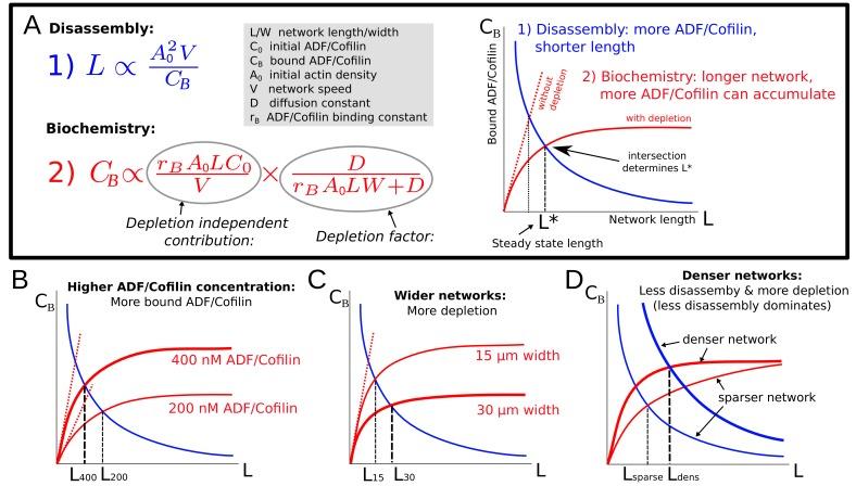 https://cdn.ncbi.nlm.nih.gov/pmc/blobs/dd76/6417862/a8579ed1fb81/elife-42413-fig5.jpg