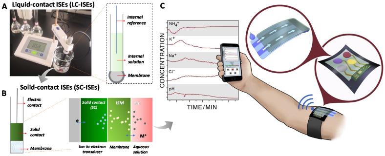 https://cdn.ncbi.nlm.nih.gov/pmc/blobs/dd78/7345918/d2a585905981/membranes-10-00128-g001.jpg