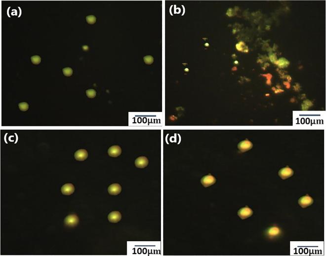 https://cdn.ncbi.nlm.nih.gov/pmc/blobs/dd79/11563400/af0d4afc1194/pone.0309795.g004.jpg