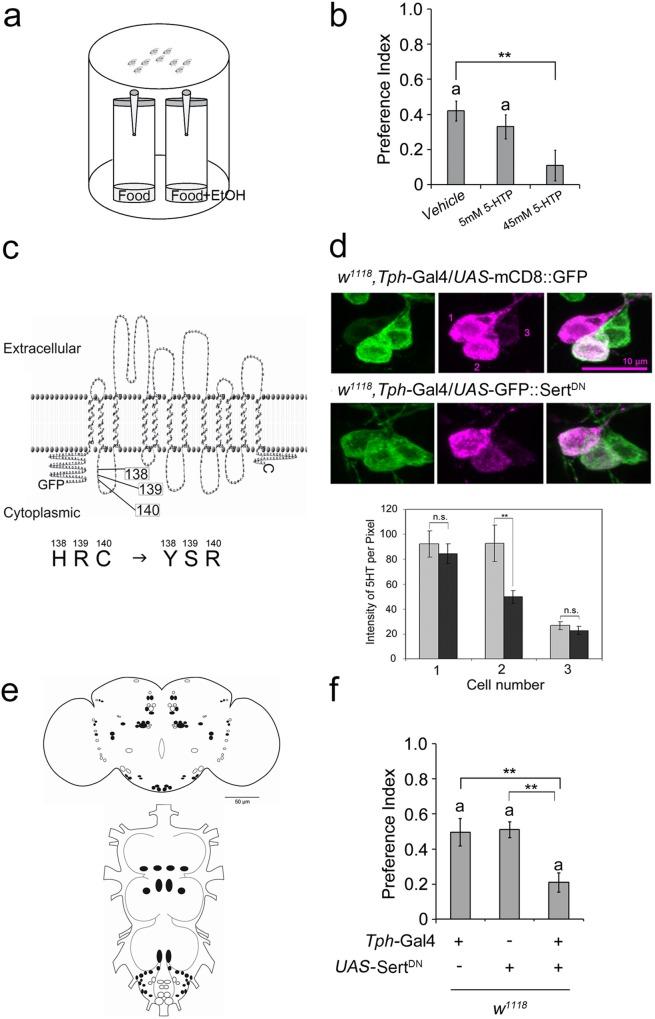 https://cdn.ncbi.nlm.nih.gov/pmc/blobs/dd79/5147910/09ad624bd294/pone.0167518.g001.jpg