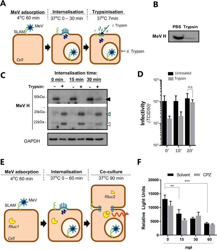 https://cdn.ncbi.nlm.nih.gov/pmc/blobs/dd79/5355598/53dfb97396bf/zjv9991824490003.jpg