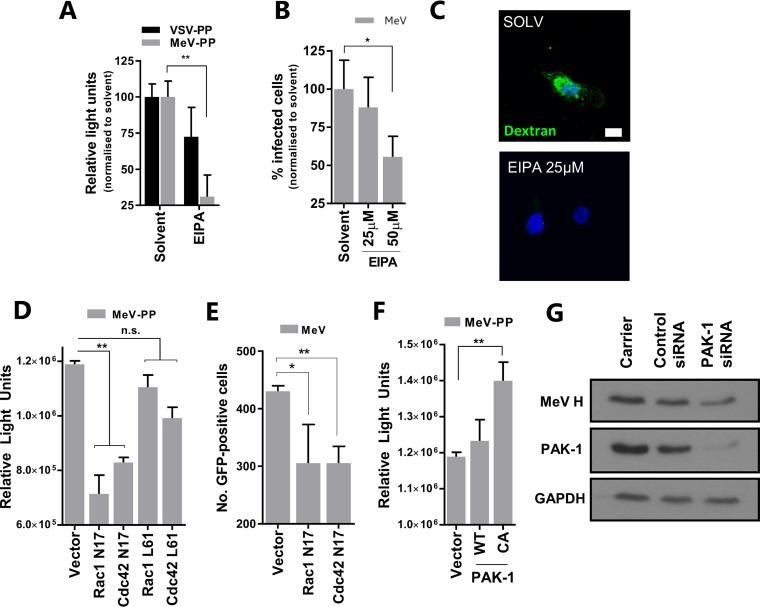 https://cdn.ncbi.nlm.nih.gov/pmc/blobs/dd79/5355598/7abfecabc069/zjv9991824490006.jpg