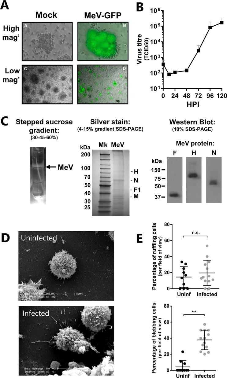 https://cdn.ncbi.nlm.nih.gov/pmc/blobs/dd79/5355598/ed0ad97073e8/zjv9991824490001.jpg