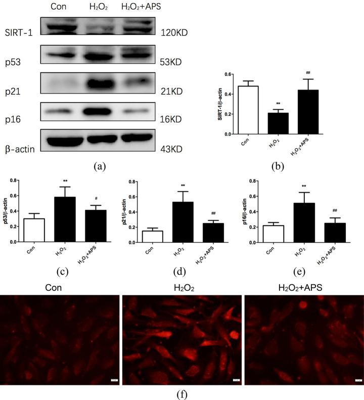 https://cdn.ncbi.nlm.nih.gov/pmc/blobs/dd7a/10851563/6cfa53da36e9/12906_2024_4387_Fig4_HTML.jpg
