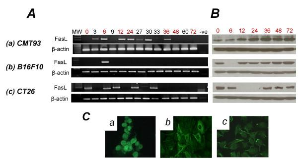 https://cdn.ncbi.nlm.nih.gov/pmc/blobs/dd7a/1373622/b832df5b4366/1477-3163-5-5-2.jpg