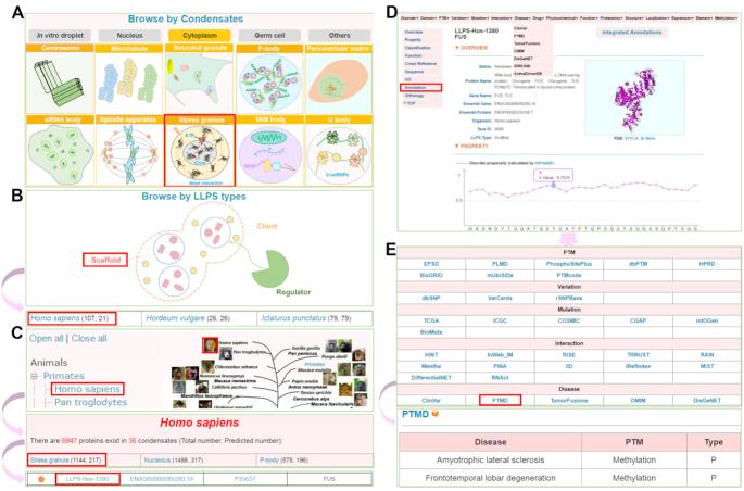 https://cdn.ncbi.nlm.nih.gov/pmc/blobs/dd7a/7145660/3efadea35280/gkz1027fig3.jpg