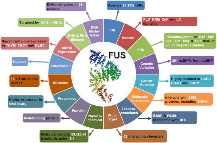 https://cdn.ncbi.nlm.nih.gov/pmc/blobs/dd7a/7145660/5fbc2fb9acb8/gkz1027fig4.jpg